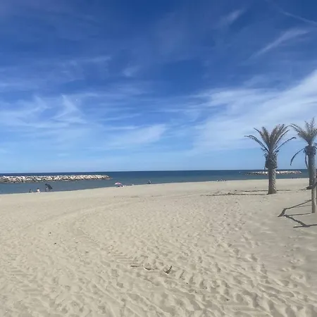 Apartament Duplex A 30m De La Avec Parking Prive - Fr-1-782-63 Le Barcarès